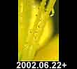 2002.06.22