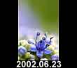 2002.06.23
