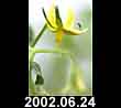 2002.06.24