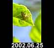 2002.06.25