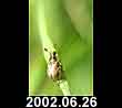2002.06.26
