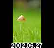 2002.06.27