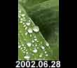 2002.06.28