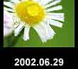 2002.06.29