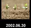 2002.06.30