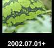 2002.07.01