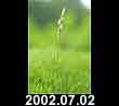 2002.07.02