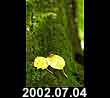 2002.07.04