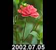 2002.07.05