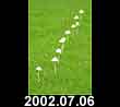 2002.07.06