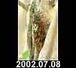 2002.07.08