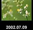 2002.07.09