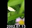2002.07.13