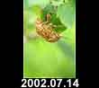 2002.07.14
