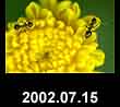 2002.07.15