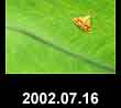2002.07.16