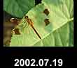2002.07.19