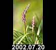 2002.07.20