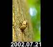2002.07.21