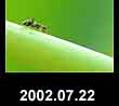 2002.07.22