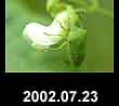 2002.07.23