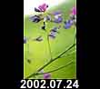 2002.07.24