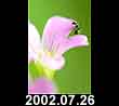 2002.07.26