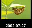 2002.07.27