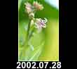 2002.07.28