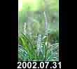 2002.07.31
