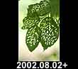 2002.08.02