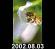 2002.08.03