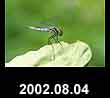 2002.08.04