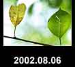 2002.08.06