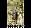 2002.08.07