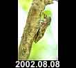 2002.08.08