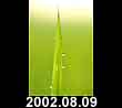 2002.08.09