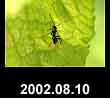 2002.08.10