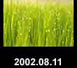 2002.08.11