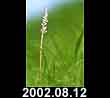 2002.08.12