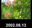 2002.08.13