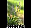 2002.08.14