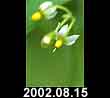 2002.08.15