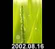 2002.08.16