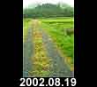 2002.08.19