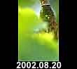 2002.08.20