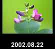 2002.08.22
