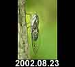 2002.08.23