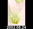 2002.08.24