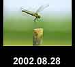 2002.08.28